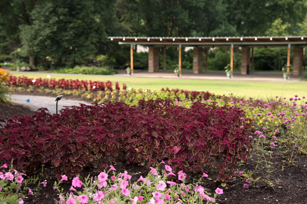 McIlwaine Friendship Pavilion UT Gardens The State Botanical Garden