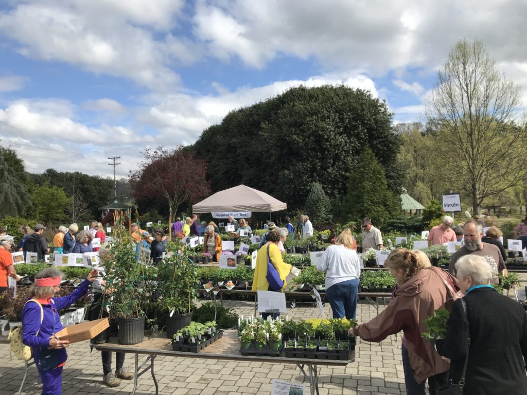 Several people shopping at a plant sale