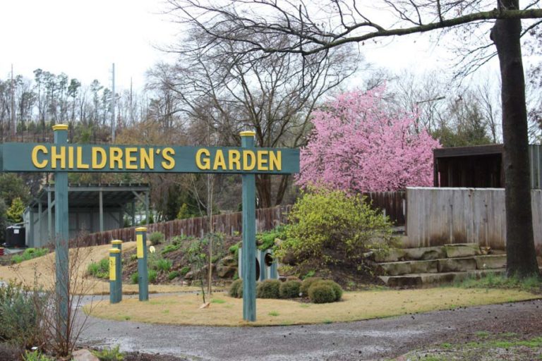 Children’s Garden
