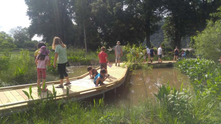 Children exploring the bridge over wetlands