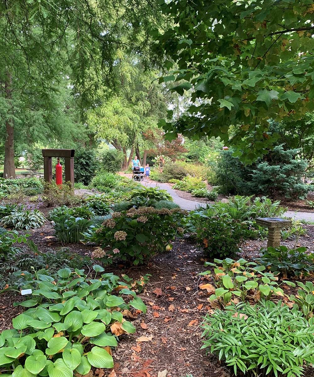 People walking through garden