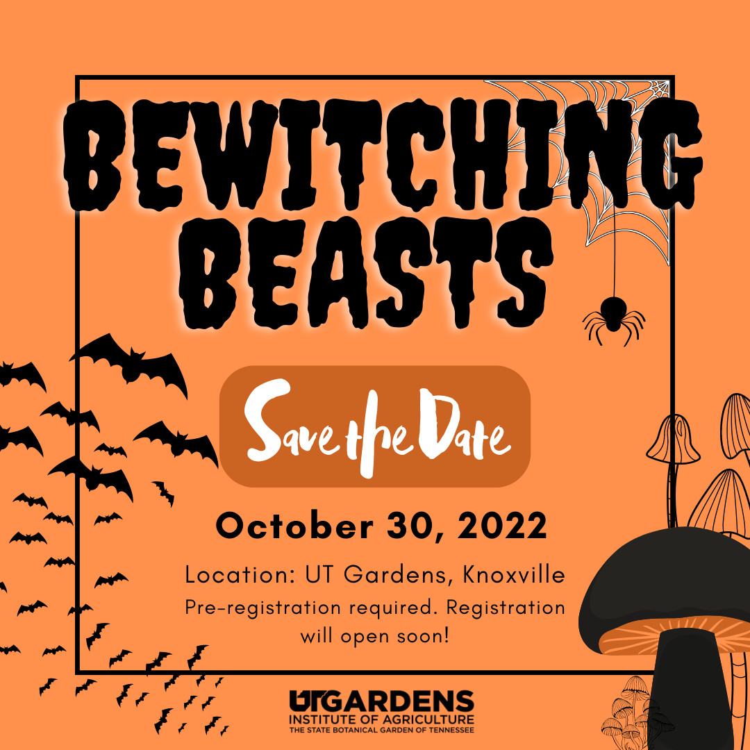 bewitching beasts save the date