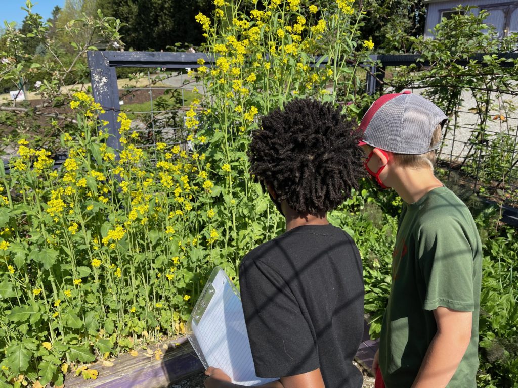 Two children look at yellow flowers.