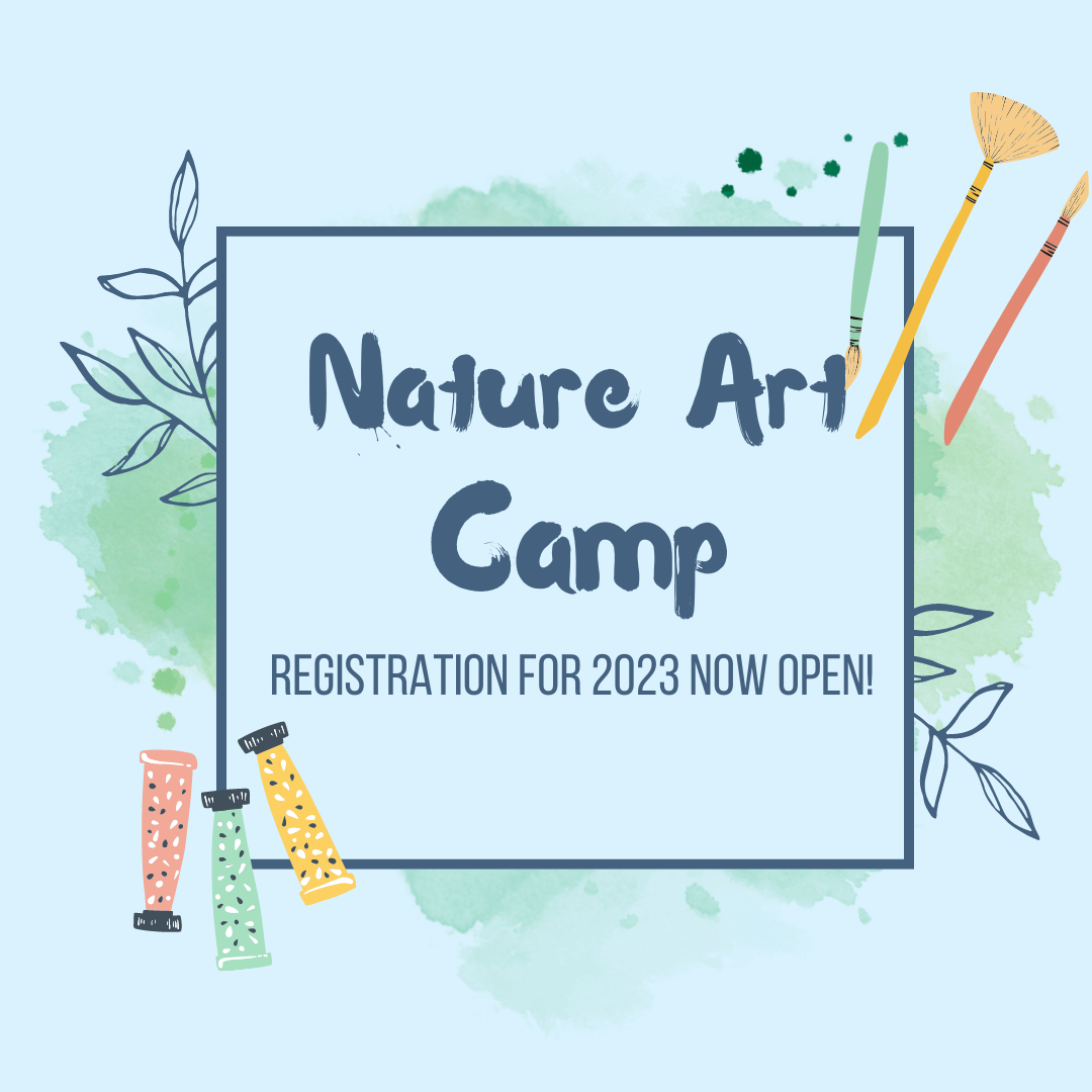 Nature Art Camp Image 