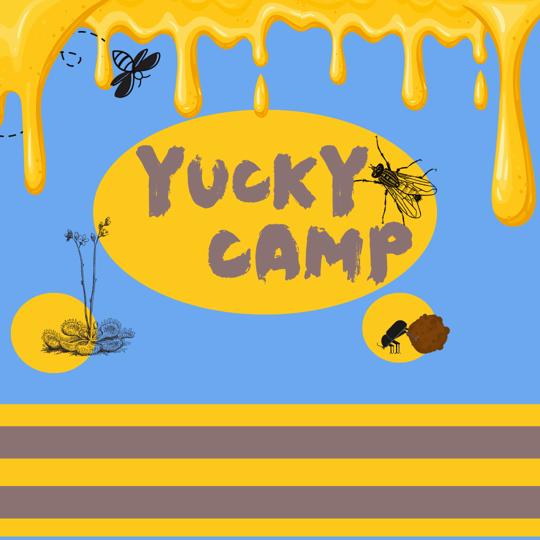 Sticky slime drips down over text that says Yucky Camp. 