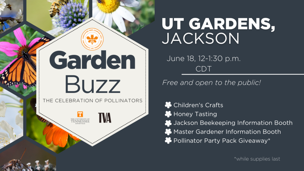 Decorative image with text about Garden Buzz in Jackson. 