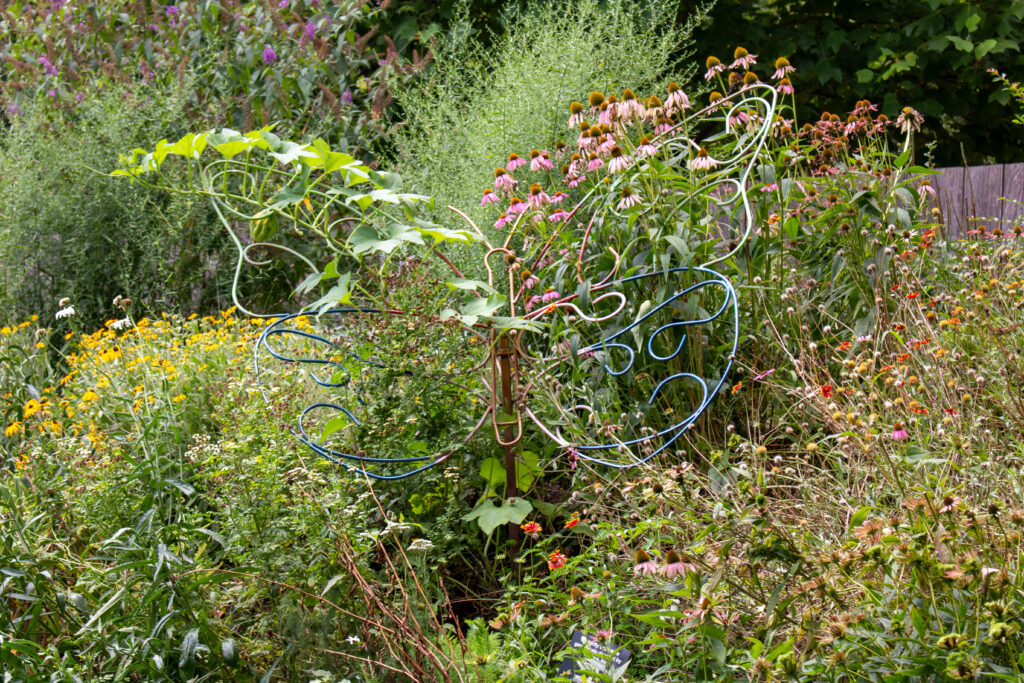 A metal butterfly artwork in a field of flowers like echinaceae