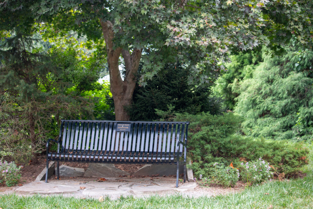 Black metal memorial bench marking the entrance to the Holly Room under a mature tree