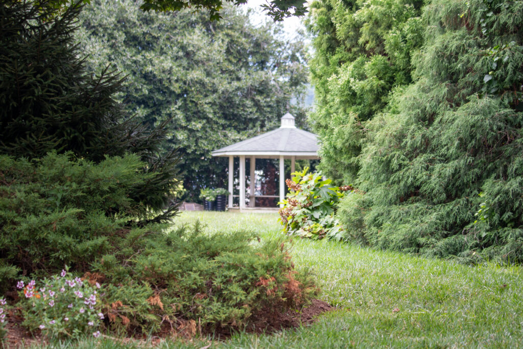 Open-walled gazebo in the background, large evergreen shrubs lining the foreground