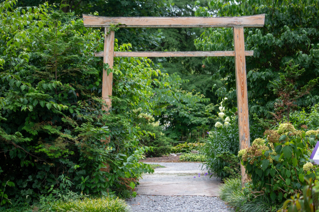 Torii gate marking the entrance of the Hosta Garden