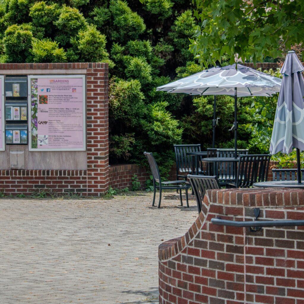 A trio of metal patio tables with chairs and umbrellas- a seating area in the entrance plaza