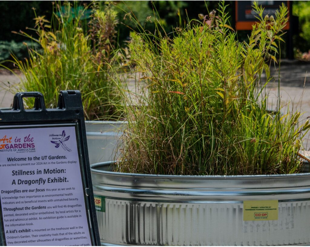 Stock tank filled with aquatic style plantings next to exhibit sign for the art in the garden program