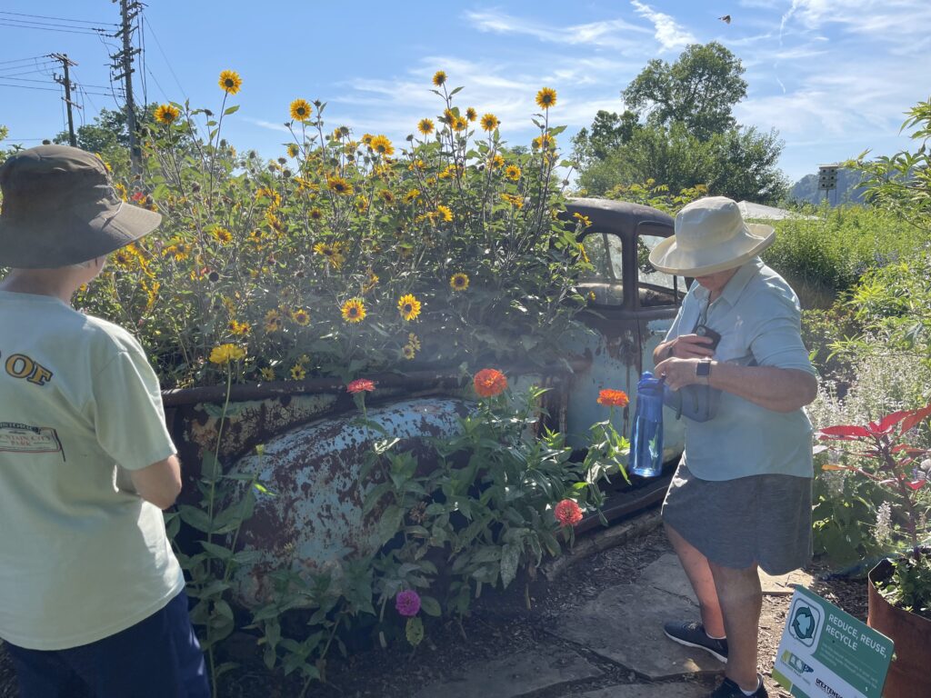 People outdoors in a flower garden