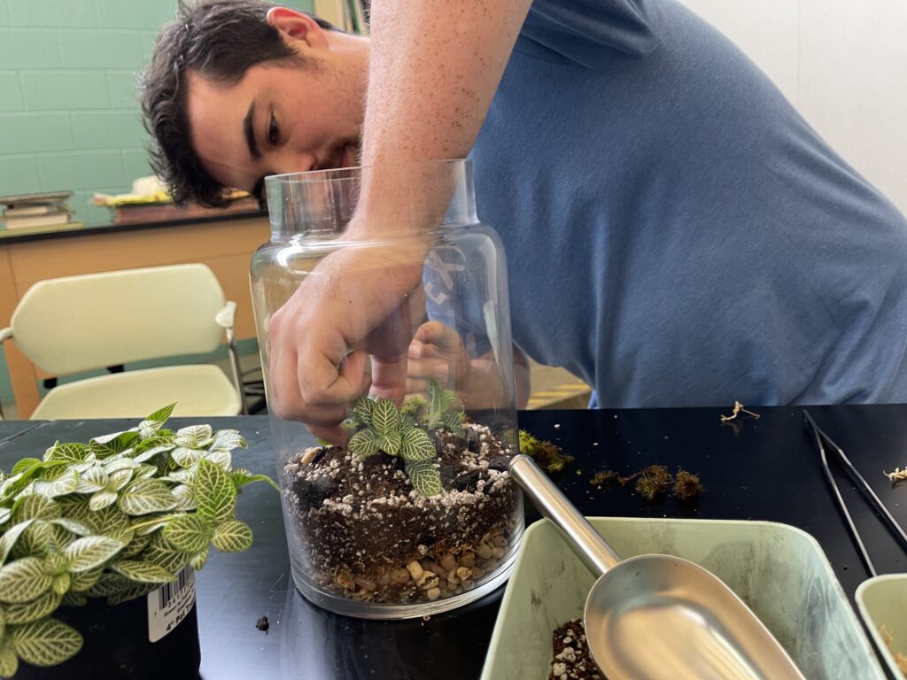 A man adding items to a terrarium