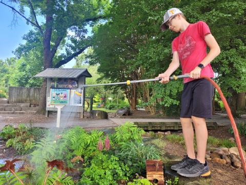 Boy watering plants in a garden