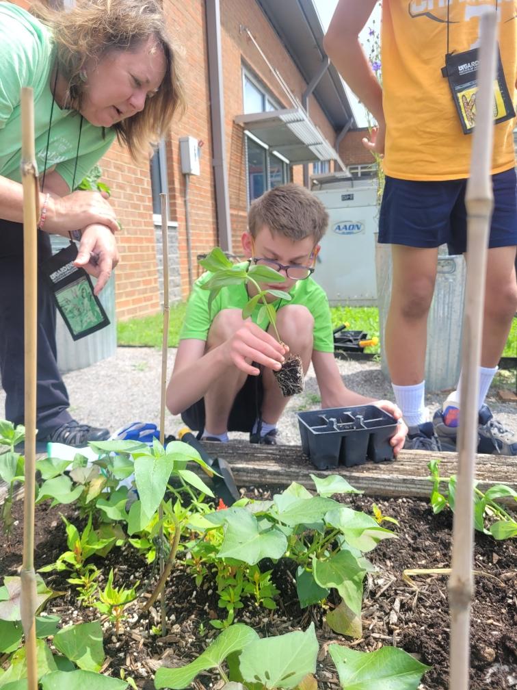 People transplanting plants into a raised garden bed.