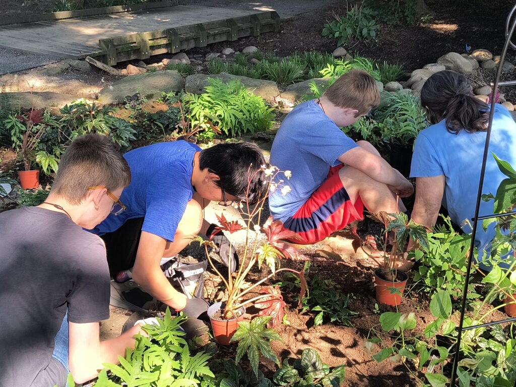 Teenagers working in a garden