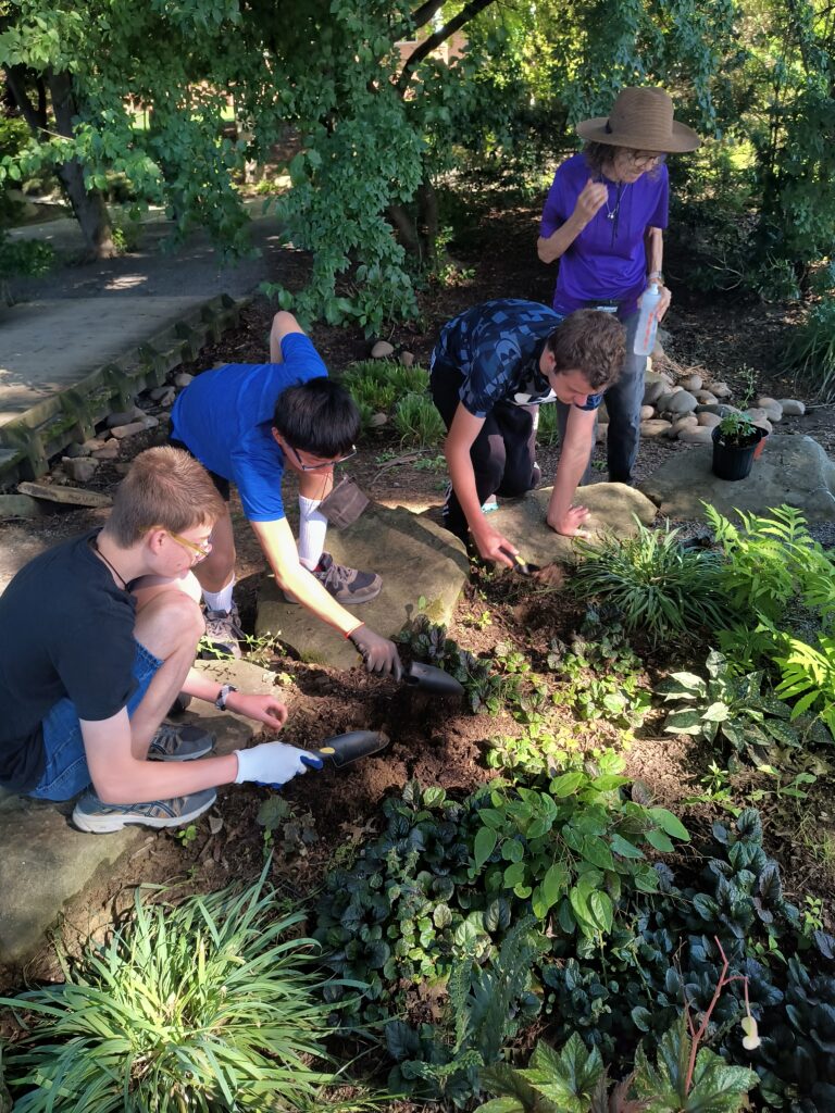 Teenagers digging in a garden