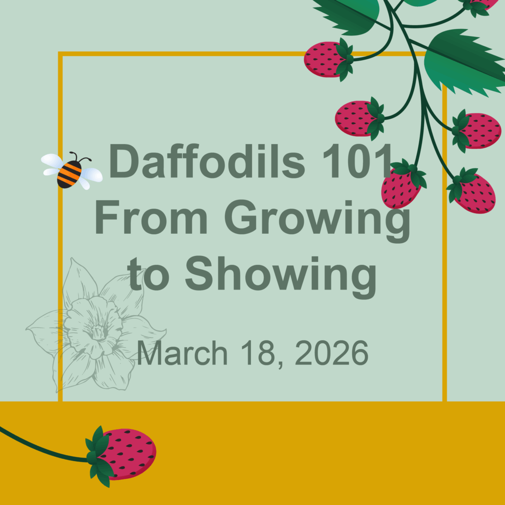 Decorative image that says Daffodils 101 From Growing to Showing March 18, 2026