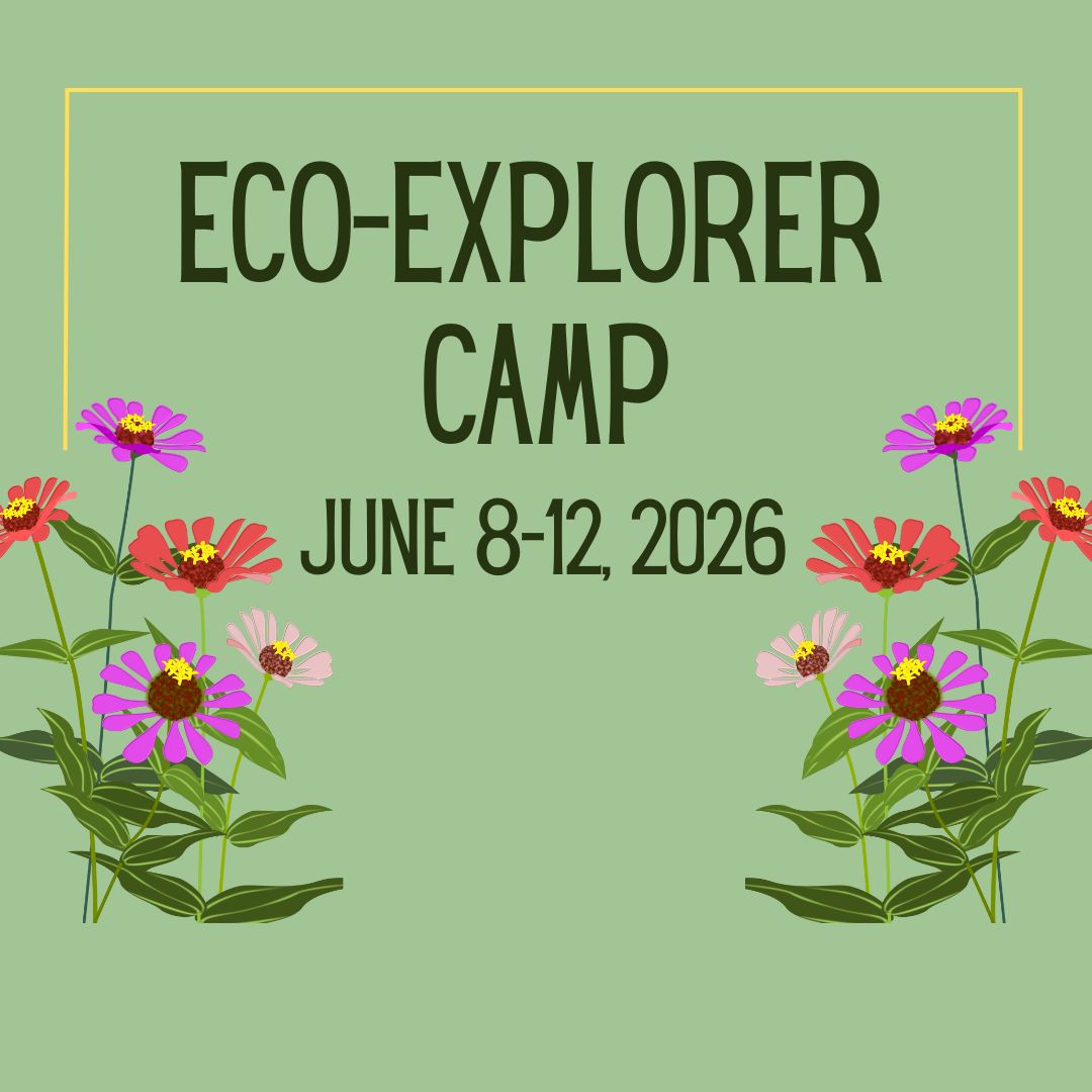 Eco-Explorer Camp June 8-12 2026