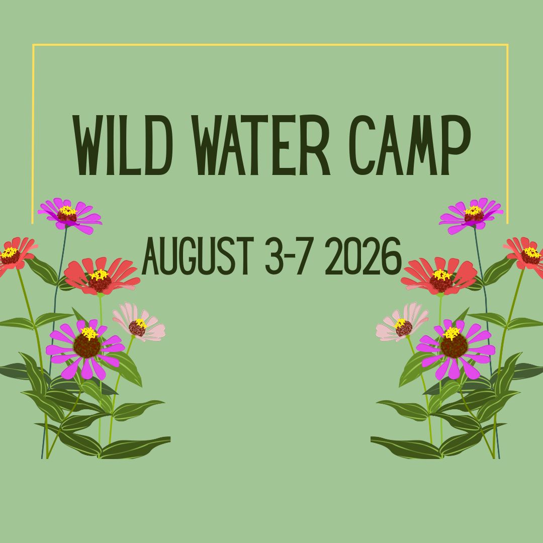Wild Water Camp August 3-7, 2026