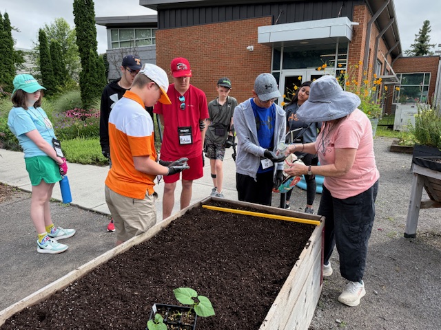 Teenagers planting seeds in a raised garden bed.