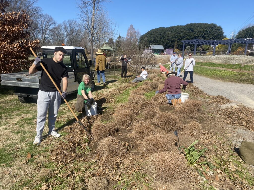 Gardens volunteers work in a group to mulch an established flower bed