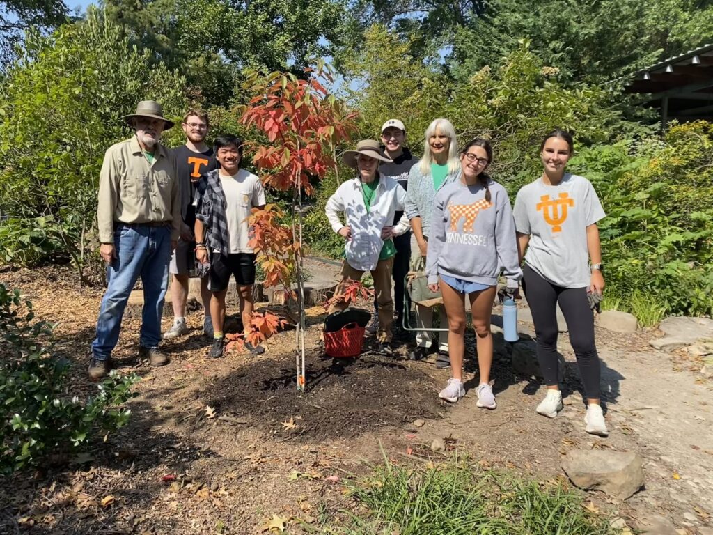 a group of volunteers stand around a tree they just planted in the gardens