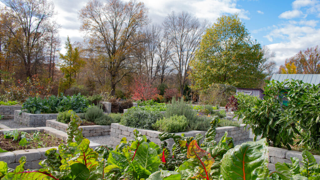 View of the Kitchen Garden