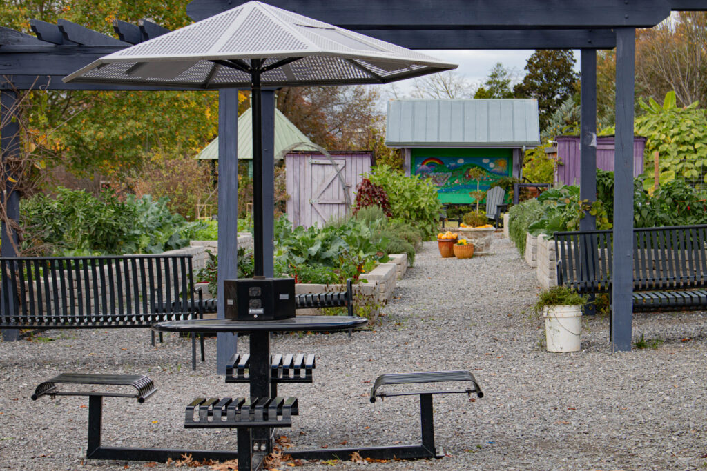 View in kitchen garden of table with solar panels on metal umbrella and seating beneath it