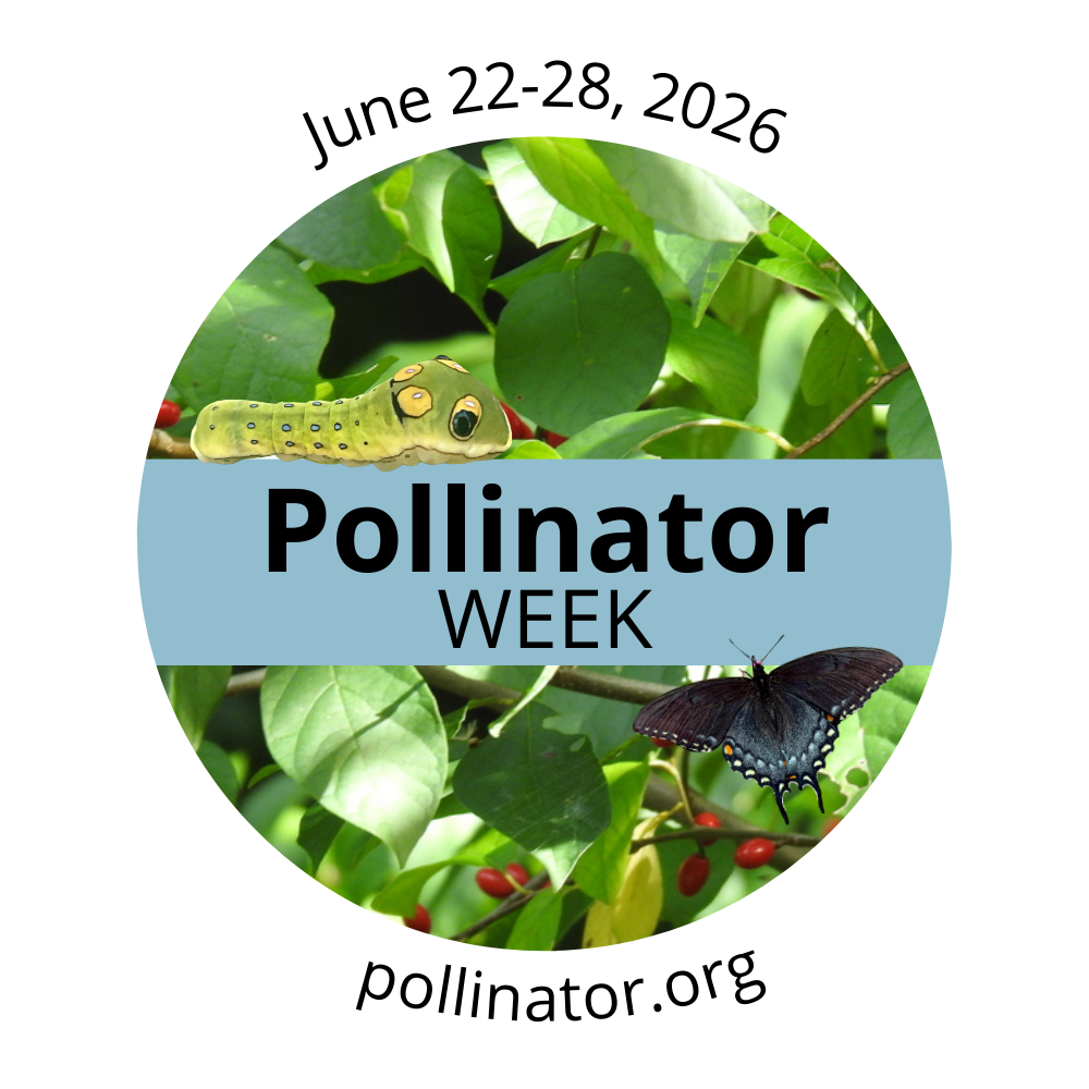 Pollinator week June 22-28, 2026 pollinator.org