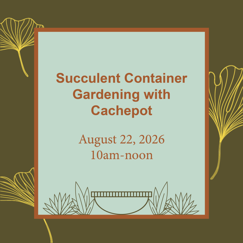 Succulent Container Gardening with Cachepot August 22, 2026 10am - noon