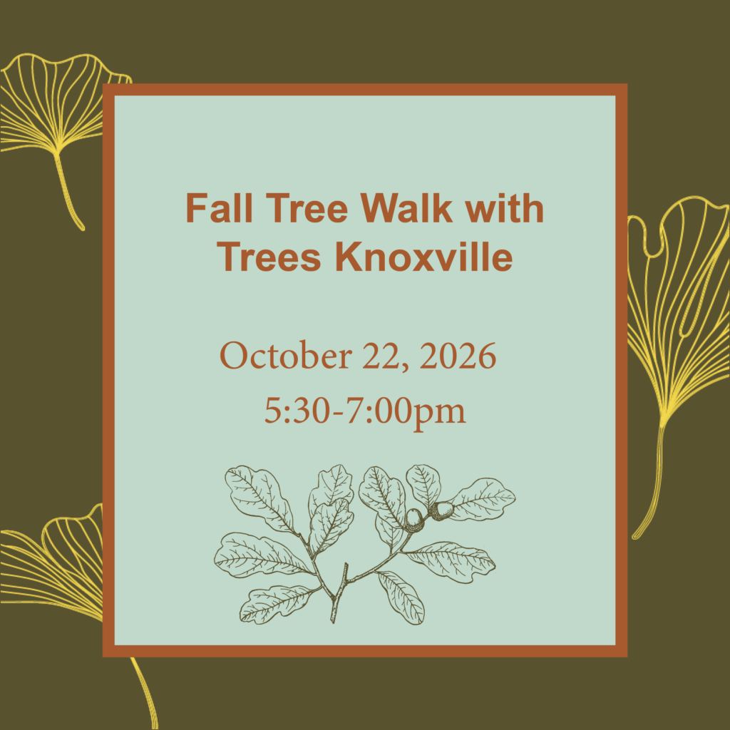 Fall Tree Walk with Trees Knoxville