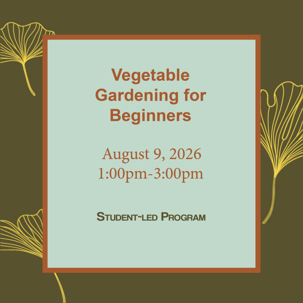 Vegetable Gardening for Beginners